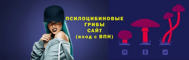 МДПВ Надым