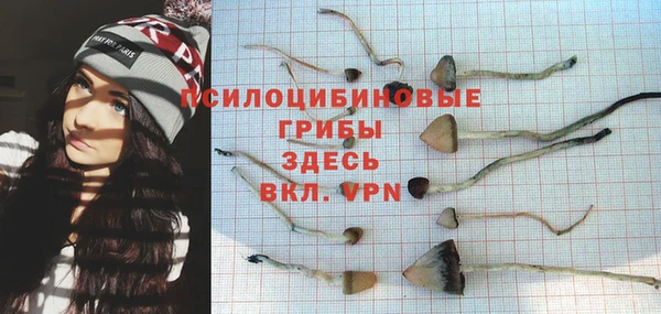 МДПВ Надым