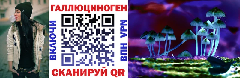 Галлюциногенные грибы Magic Shrooms  купить закладку  Белая Холуница 